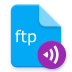 primitive ftpd icon